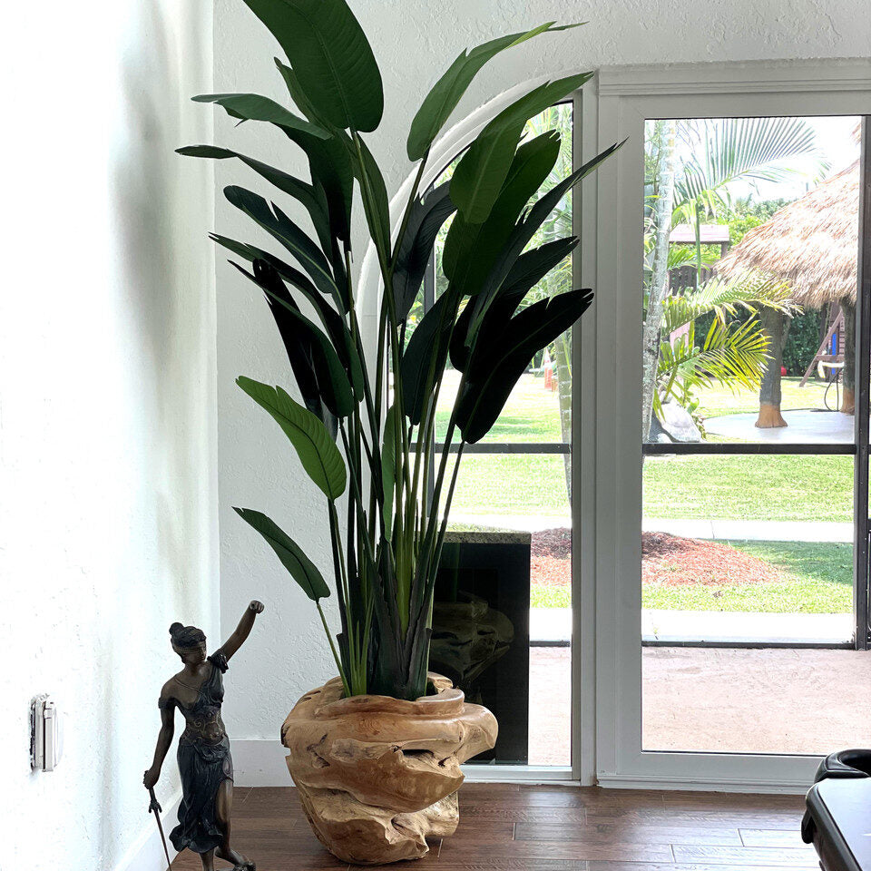 Groß Paradiesvogelblume im Groß Teak Vessel