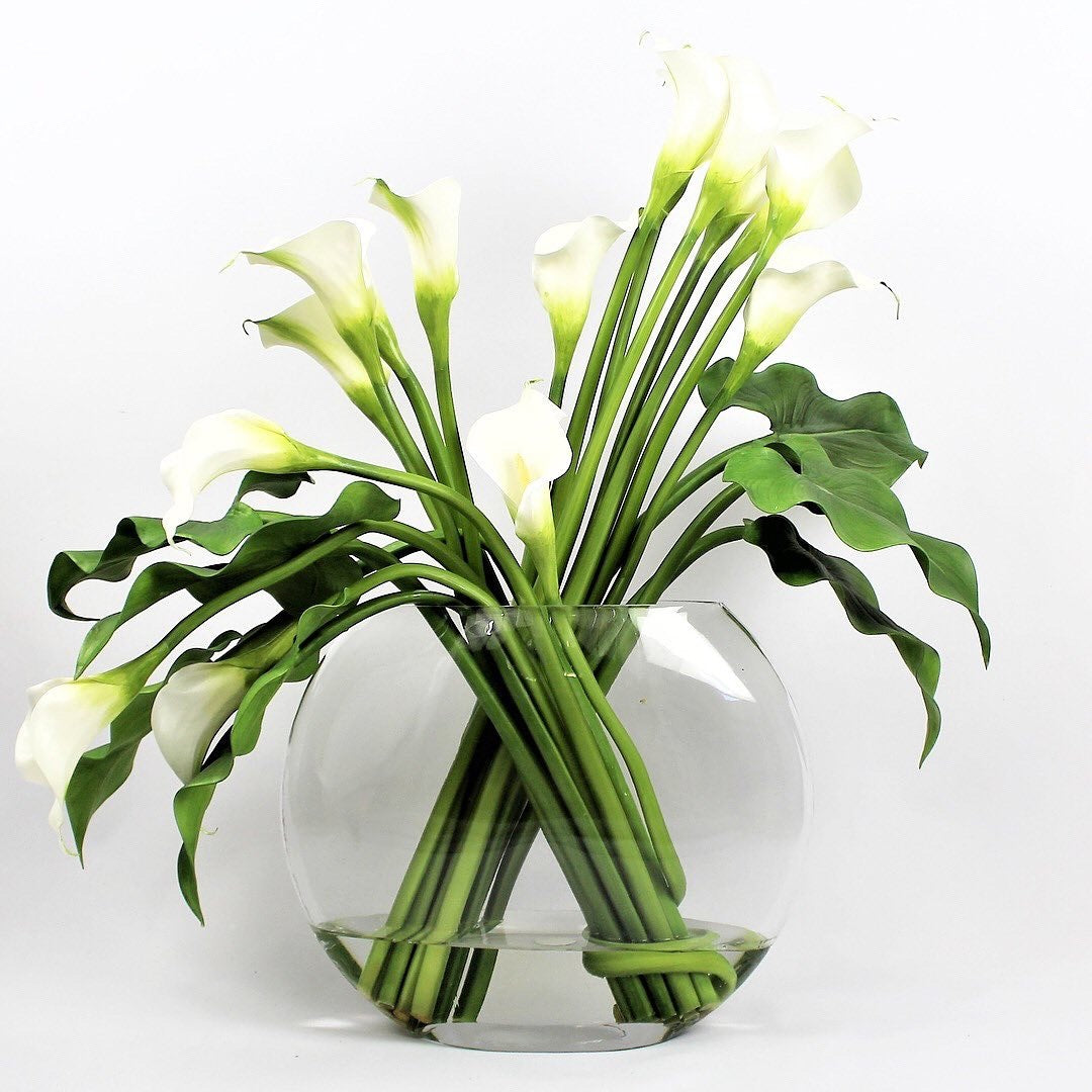 Weiß Calla Lilies in der Moon Vase