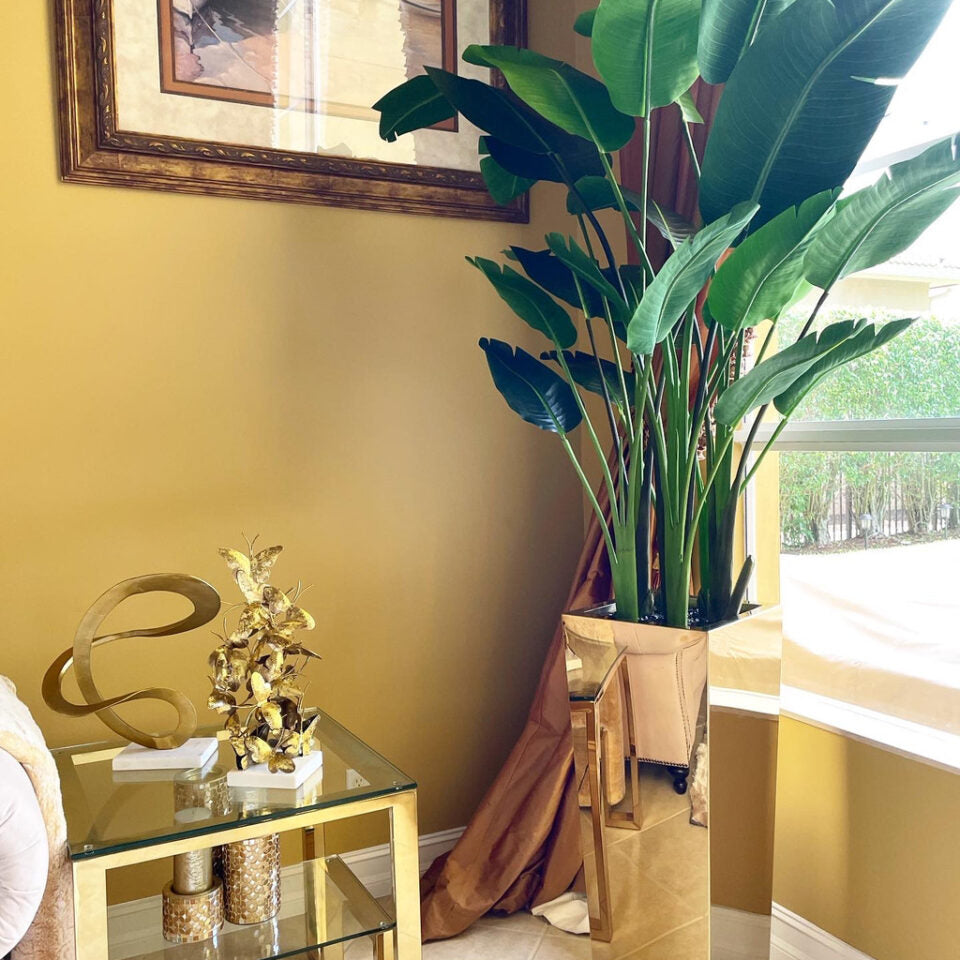 Paradiesvogelblume im Gold Cube Pflanzgefäß