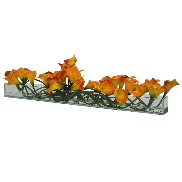 Mango Callas Glas Plate Pflanzgefäß
