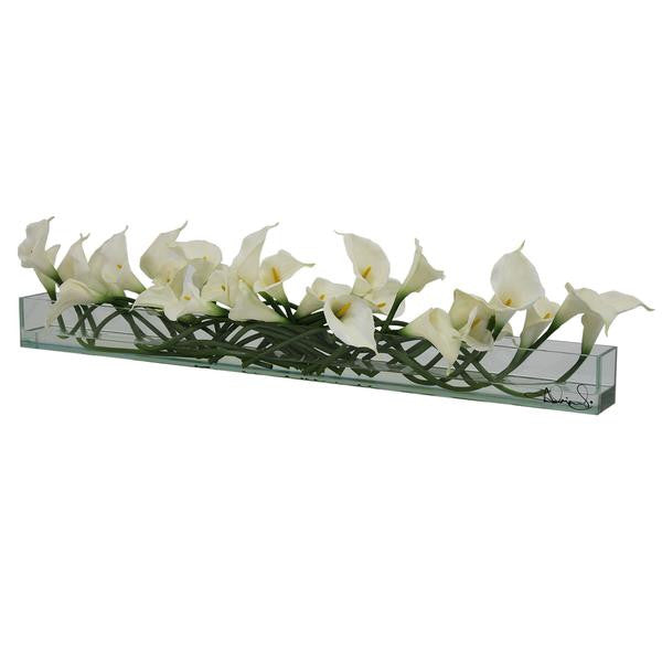 Weiß Callas  Glas Plate Pflanzgefäß