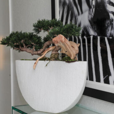 Bonsai Kunstpflanze