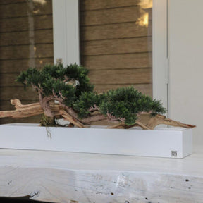 Bonsai Kunstpflanze