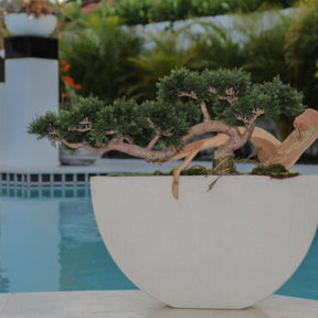 Bonsai Kunstpflanze