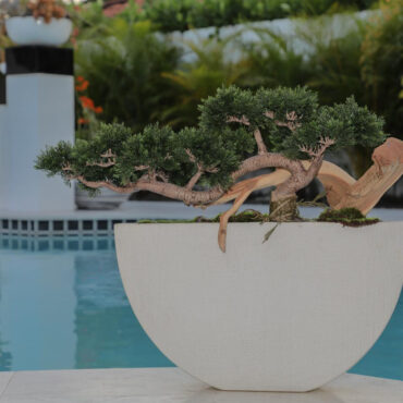 Bonsai Kunstpflanze
