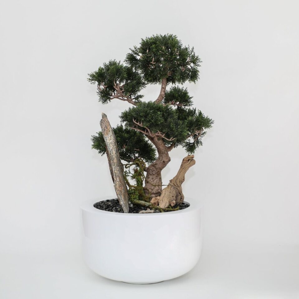Bonsai Kunstpflanze