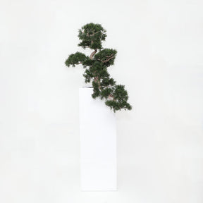 Bonsai Kunstpflanze