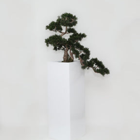 Bonsai Kunstpflanze