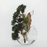 Bonsai Kunstpflanze