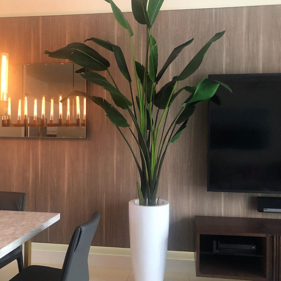 Groß Dax Pflanzgefäß In Glänzend Weiß im 9 Ft Paradiesvogelblume