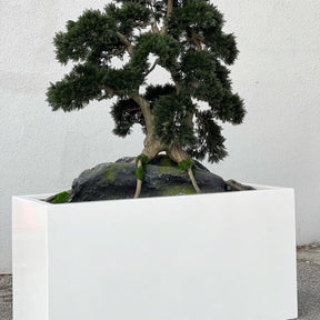 Bonsai Kunstpflanze