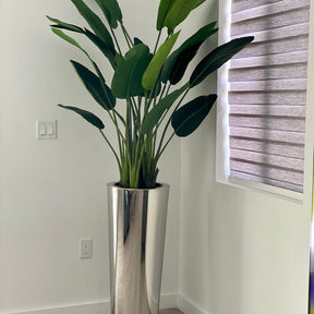 Paradiesvogelblume im Stainless Cone Pflanzgefäß