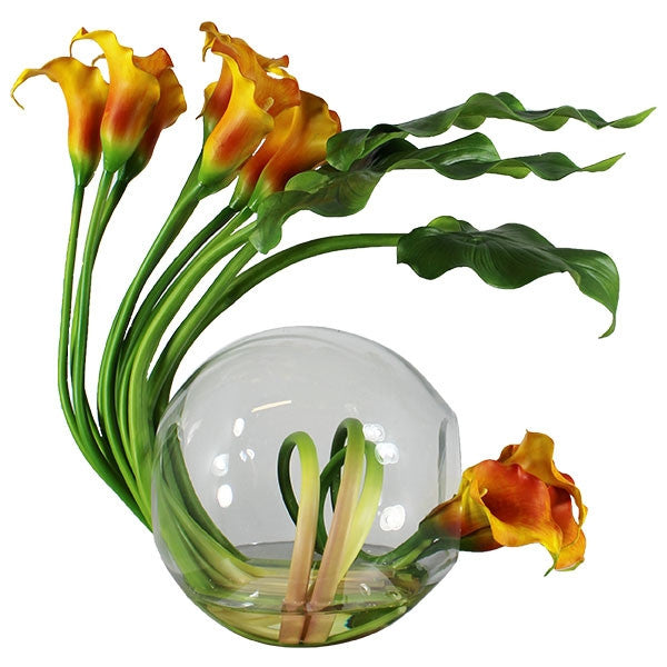 Mango Calla Lilies in der Crosswinds Vase
