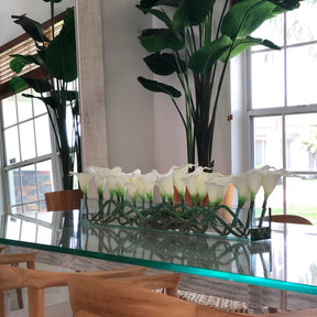 Weiß Callas   Glas Plate Pflanzgefäß ·