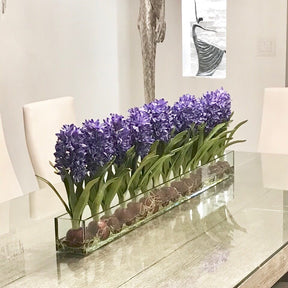 Blau Hyacinths Glas Plate Pflanzgefäß