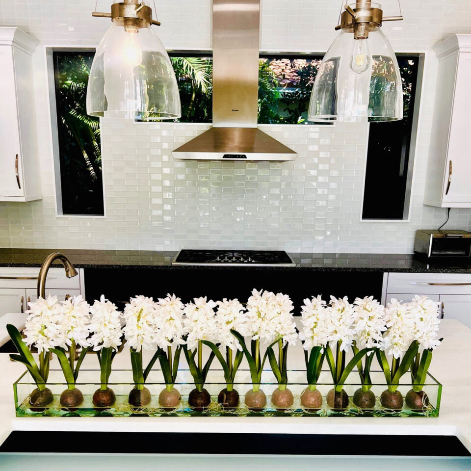 Weiß Hyacinths  Glas Plate Pflanzgefäß