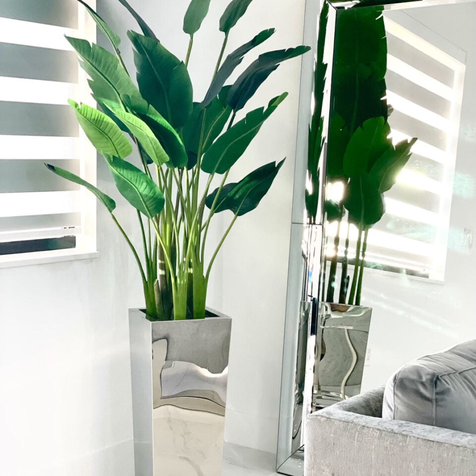 Paradiesvogelblume im Mittel Stainless Steel Cube Pflanzgefäß