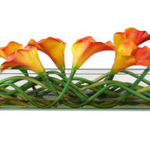 Mango Callas Glas Plate Pflanzgefäß