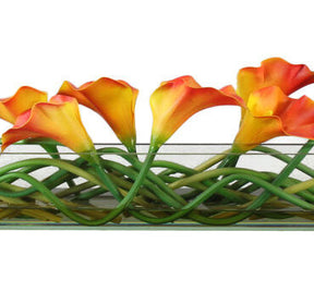 Mango Callas Glas Plate Pflanzgefäß