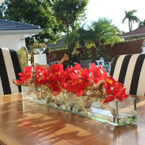 Rot Cymbidiums · ca. 48 cm im 48″ Casa Moderna Glas Plate Pflanzgefäß · ca. 48 cm