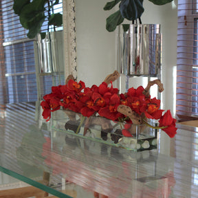 Rot Cymbidiums · ca. 24 cm im 24″ Casa Moderna Glas Plate Pflanzgefäß · ca. 24 cm