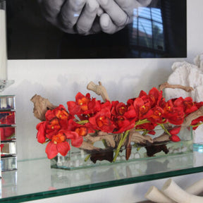 Rot Cymbidiums · ca. 24 cm im 24″ Casa Moderna Glas Plate Pflanzgefäß · ca. 24 cm