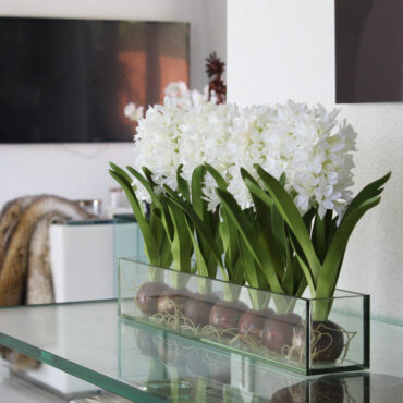 Weiß Hyacinths  Glas Plate Pflanzgefäß