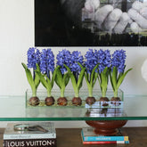 Blau Hyacinths  Glas Plate Pflanzgefäß