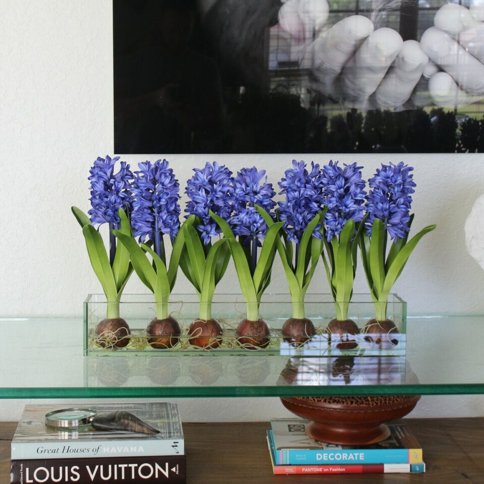 Blau Hyacinths  Glas Plate Pflanzgefäß