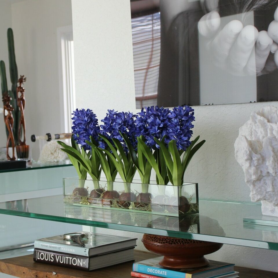 Blau Hyacinths  Glas Plate Pflanzgefäß