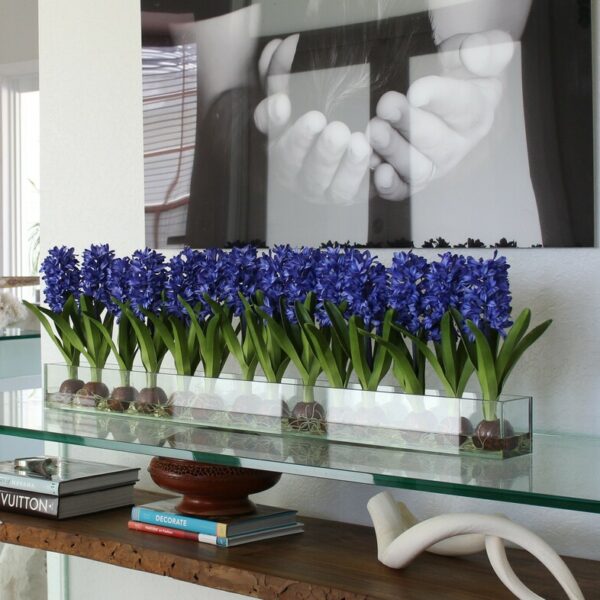 Blau Hyacinths Glas Plate Pflanzgefäß