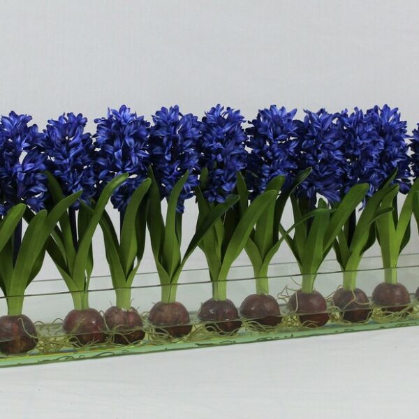 Blau Hyacinths Glas Plate Pflanzgefäß