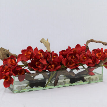 Rot Cymbidiums · ca. 24 cm im 24″ Casa Moderna Glas Plate Pflanzgefäß · ca. 24 cm