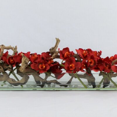 Rot Cymbidiums · ca. 48 cm im 48″ Casa Moderna Glas Plate Pflanzgefäß · ca. 48 cm
