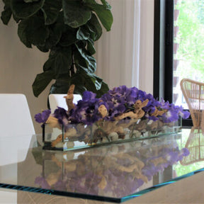 Purple Vandas · ca. 48 cm im 48″ Casa Moderna Glas Plate Pflanzgefäß · ca. 48 cm