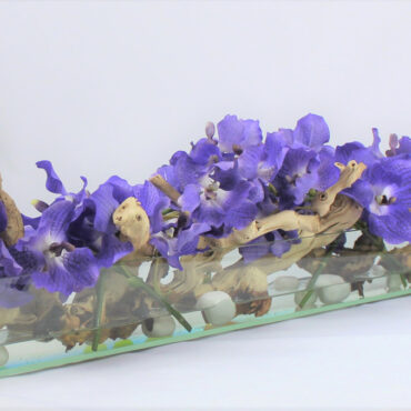 Purple Vandas · ca. 48 cm im 48″ Casa Moderna Glas Plate Pflanzgefäß · ca. 48 cm