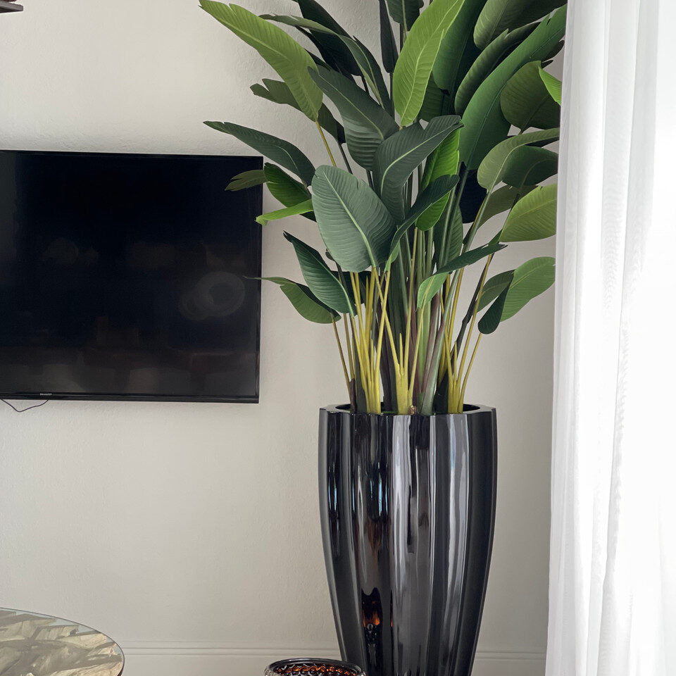 Birds Of Paradise im San Jose Kanneliert Pflanzgefäß In Glänzend Schwarz