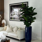 Glänzend Cobalt Blau St. Tropez Pflanzgefäß im Fiddle Blatt Tree