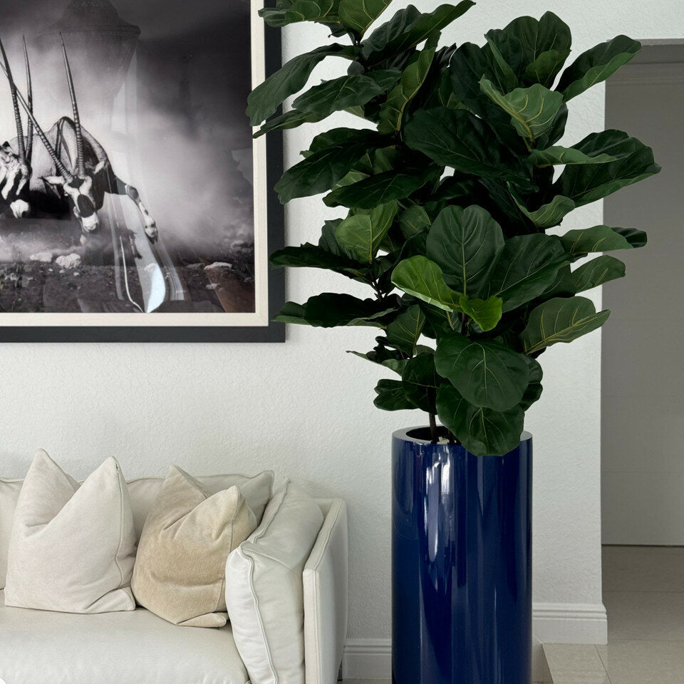 Glänzend Cobalt Blau St. Tropez Pflanzgefäß im Fiddle Blatt Tree