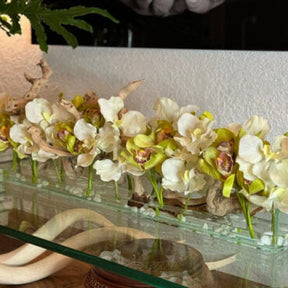 Weiß Vandas und Grün Cymbidiums im Casa Moderna