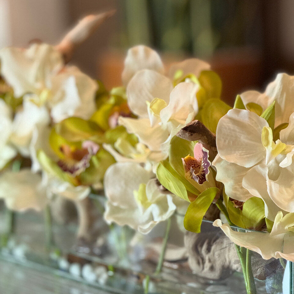 Weiß Vandas und Grün Cymbidiums im Casa Moderna