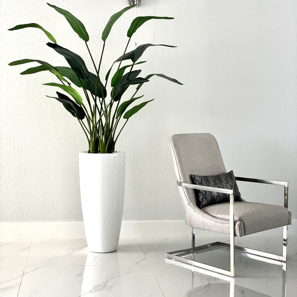 Dax L Pflanzgefäß im 7 Ft Paradiesvogelblume