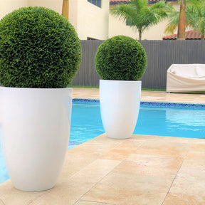 Topiary Ben L Fiberglas