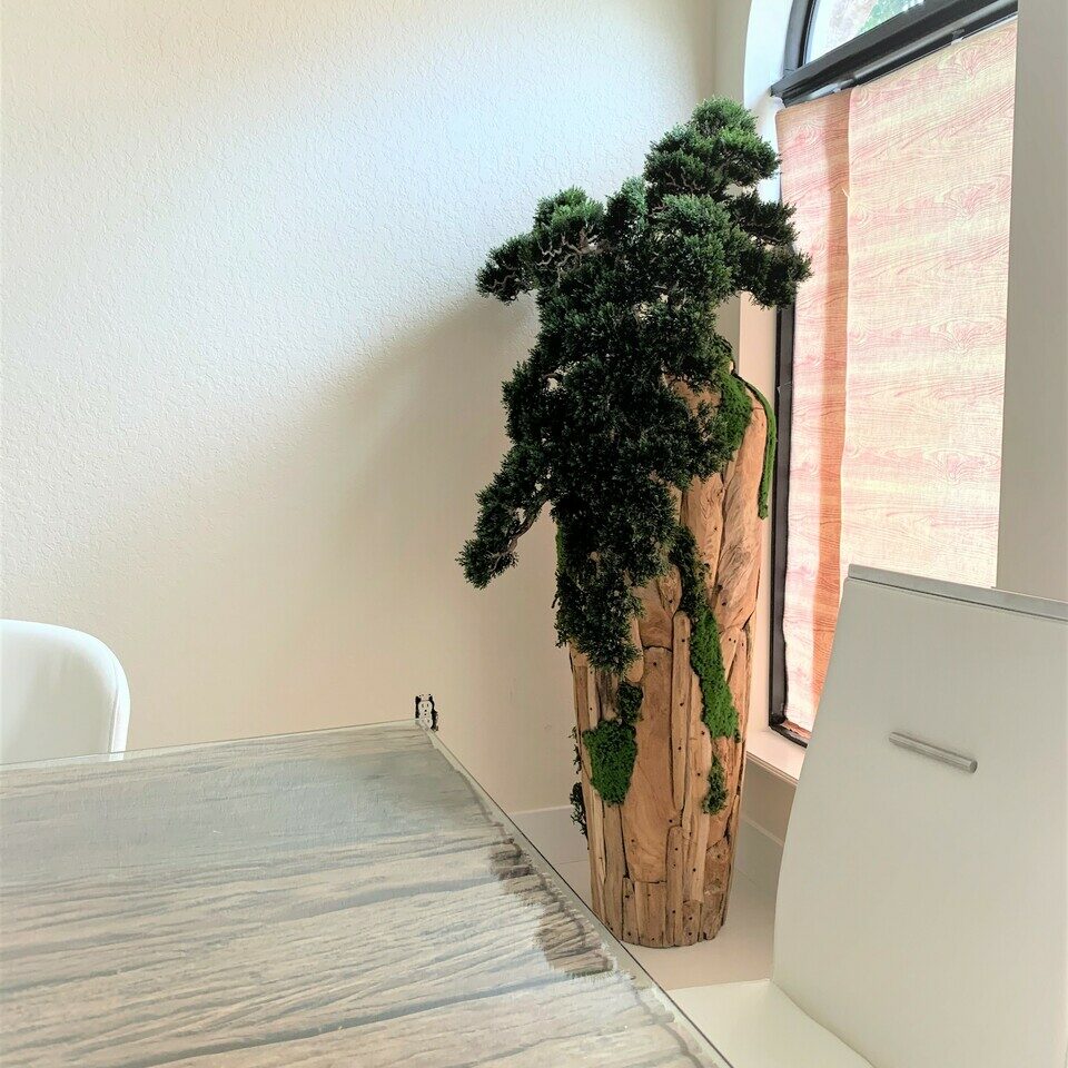 Bonsai Kunstpflanze