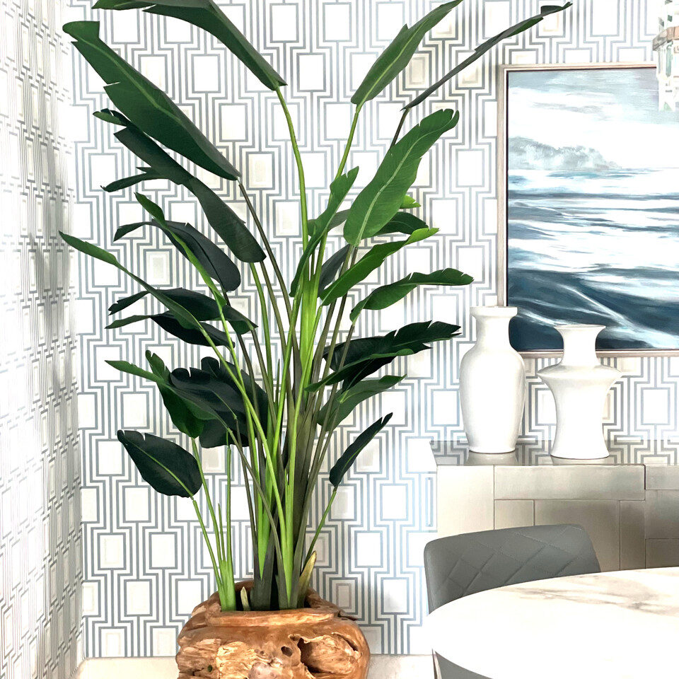 Groß Paradiesvogelblume im Groß Teak Vessel