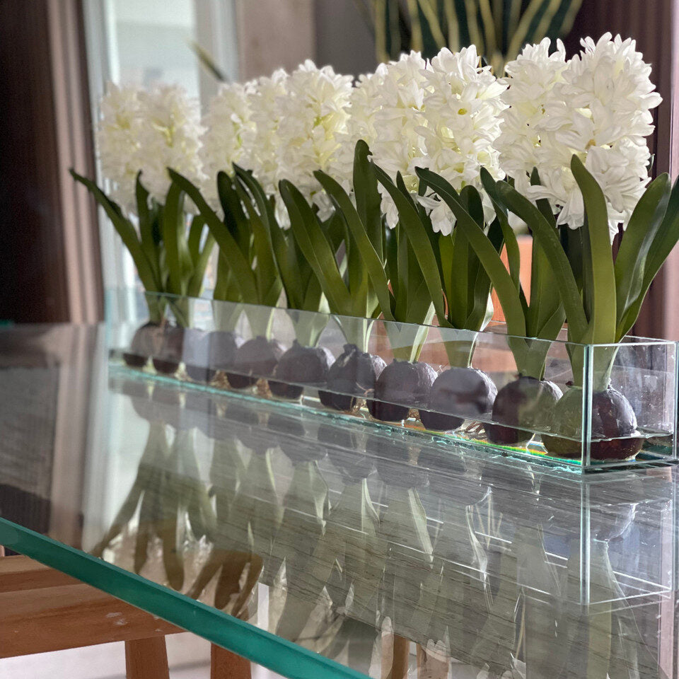 Weiß Hyacinths  Glas Plate Pflanzgefäß