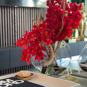 Rot Cymbidiums In Moon in der Vase
