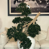 Bonsai Kunstpflanze