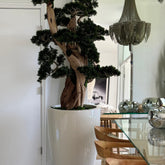 Bonsai Kunstpflanze