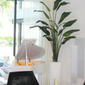 Xl Dax Pflanzgefäß im 9 Ft Paradiesvogelblume